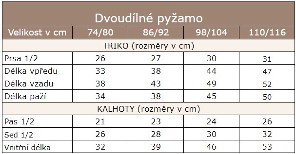 Snímek obrazovky 2024-08-19 123939